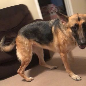 Meet your Posher, Sharon